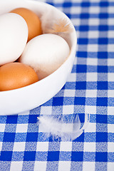 Image showing  brown and white eggs and feathers