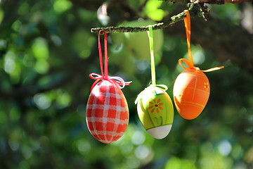 Image showing Easter eggs hanging on the tree 