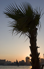 Image showing Nile Sunset