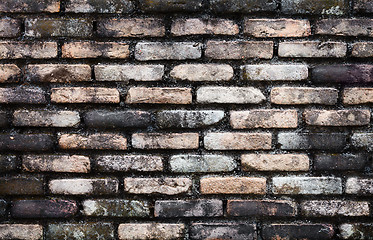 Image showing Old brick wall with mold architectural background