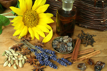 Image showing Spices