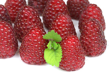 Image showing Raspberries