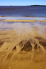 Image showing beach and  coastline  in rio de la plata