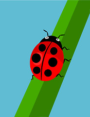 Image showing Cartoon Ladybug