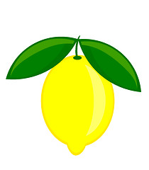 Image showing Lemon illustration