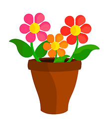 Image showing Flowers in pot