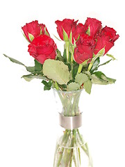 Image showing Red roses