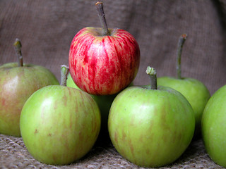 Image showing apple