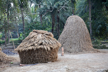 Image showing Bengali village