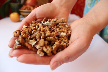 Image showing palms full of ripe seeds of walnuts