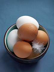 Image showing brown and white eggs