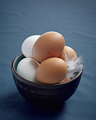 Image showing brown and white eggs