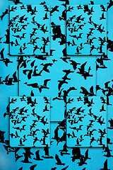 Image showing Set of silhouettes of birds on a blue background