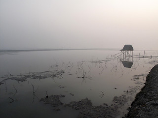 Image showing Modest straw hut of Indian fishermen in the Ganges, Sundarband, West Bengal, India
