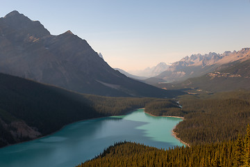 Image showing Peyto lake