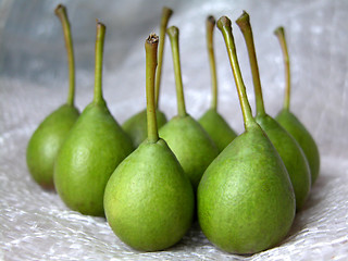 Image showing pears