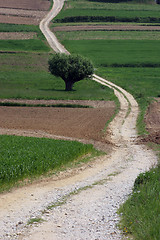 Image showing Winding road