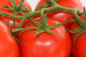 Image showing Tomatoes