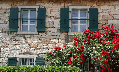 Image showing Typical country house villa in Istria, Croatia.