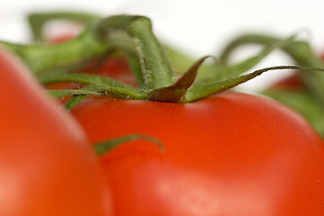 Image showing Tomatoes