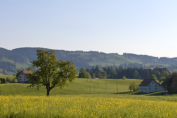 Image showing Farm