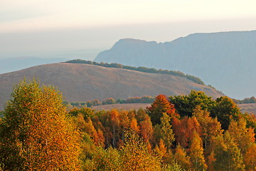 Image showing autumn morning