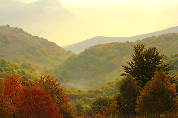 Image showing beautiful colors over the woods