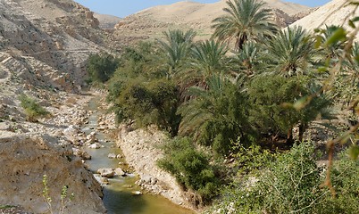 Image showing Wadi Qelt or Nahal Prat creek in Judean Desert near Jericho  in spring