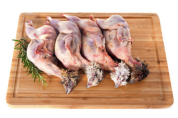 Image showing four quails