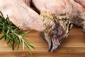 Image showing quail and rosemary