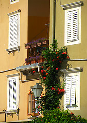 Image showing Four white Mediterranean windows