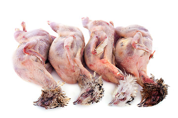 Image showing four quails