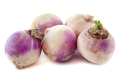 Image showing freshly turnips