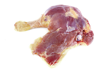 Image showing duck leg