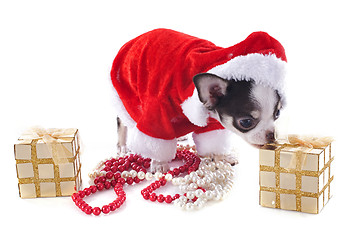 Image showing santa claus chihuahua