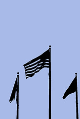 Image showing Flags