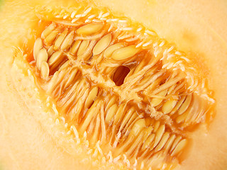 Image showing Cantaloupe melon # 03