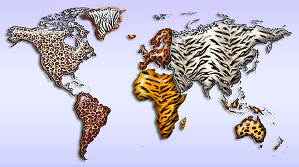 Image showing Wild world