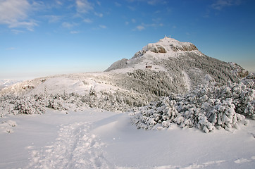 Image showing Mountain top in winter