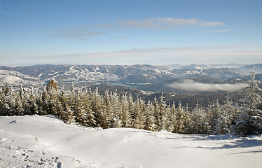 Image showing Snowy landscape