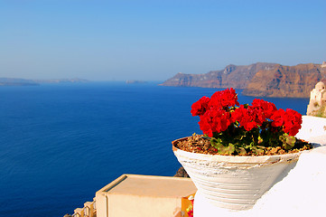 Image showing beautiful red flower and blue sea,fira,santorini,greece