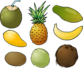 Image showing Tropical fruits illustration