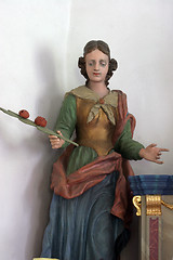 Image showing Saint Rosalia