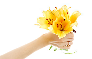 Image showing female hand holding yellow madonna lily bouquet