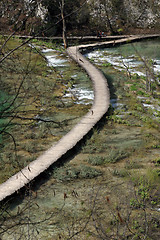 Image showing Wooden pathway in Plitvice Lakes national park in Croatia