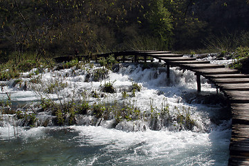 Image showing Wooden pathway in Plitvice Lakes national park in Croatia