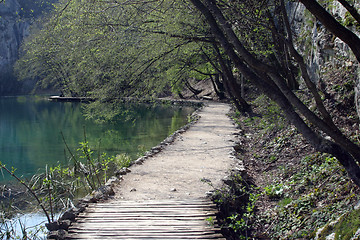 Image showing Pathway in Plitvice Lakes national park in Croatia