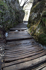 Image showing Wooden pathway in Plitvice Lakes national park in Croatia