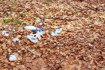 Image showing garbage in the forest