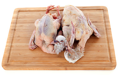 Image showing pigeon meat